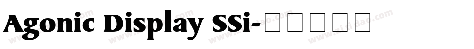 Agonic Display SSi字体转换